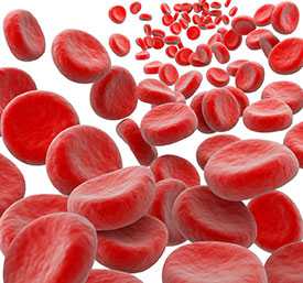 Использование в рационе железо содержащих добавок применяется при легкой форме нормохромной анемии и позволяет поднять число красных клеток крови