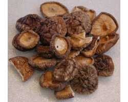 К нам шиитаке древесный гриб, черный лесной гриб, сиитаке или лентинула съедобная пришел только в веке